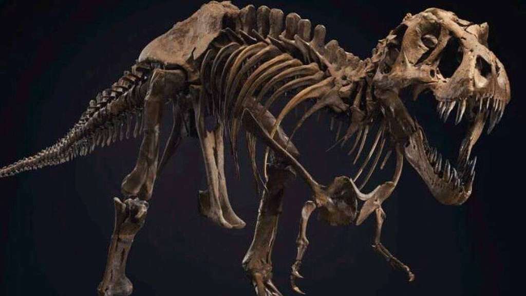 ΗΠΑ: Σκελετός Τυραννόσαυρου πουλήθηκε σε δημοπρασία για 31,8 εκατομμύρια δολάρια