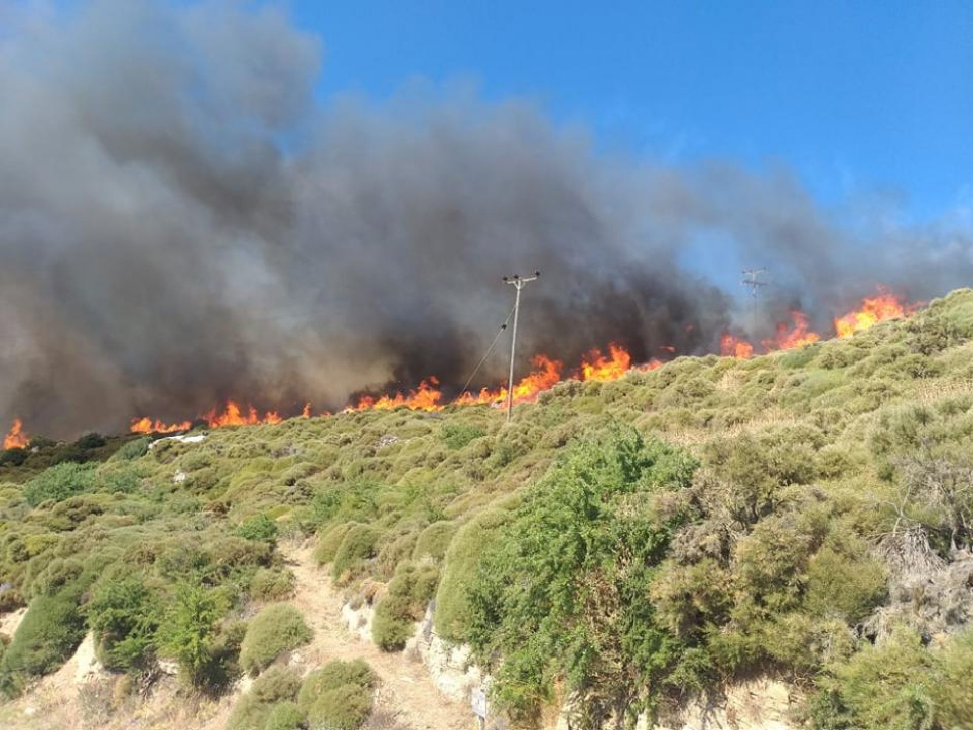 Μεγάλη φωτιά στη Νάξο, επιχειρούν εναέρια μέσα, απειλούνται χωριά (βίντεο-φωτογραφίες)