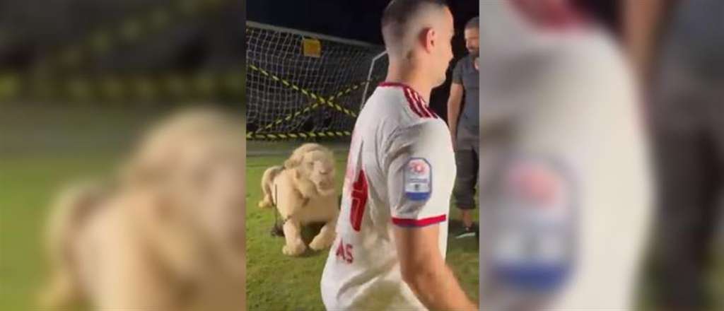 Τρομοκρατήθηκε από λιοντάρι στην παρουσίαση του ο Κώστας Μανωλάς (βίντεο)
